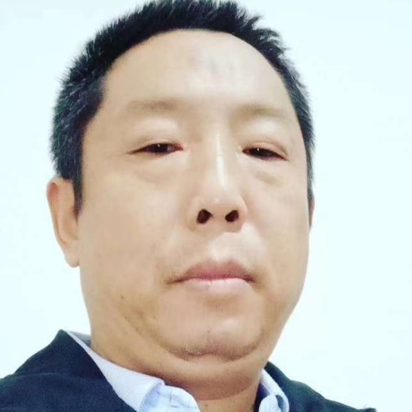 猫咪等于健忘的照片