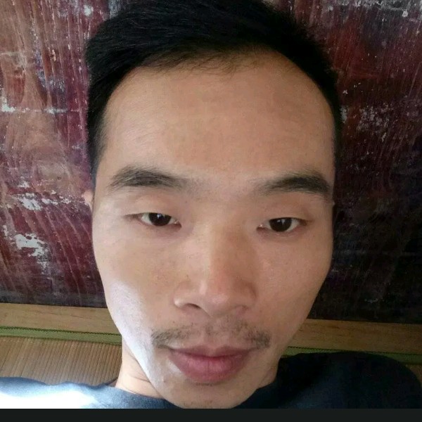 羊爱恋听话的照片