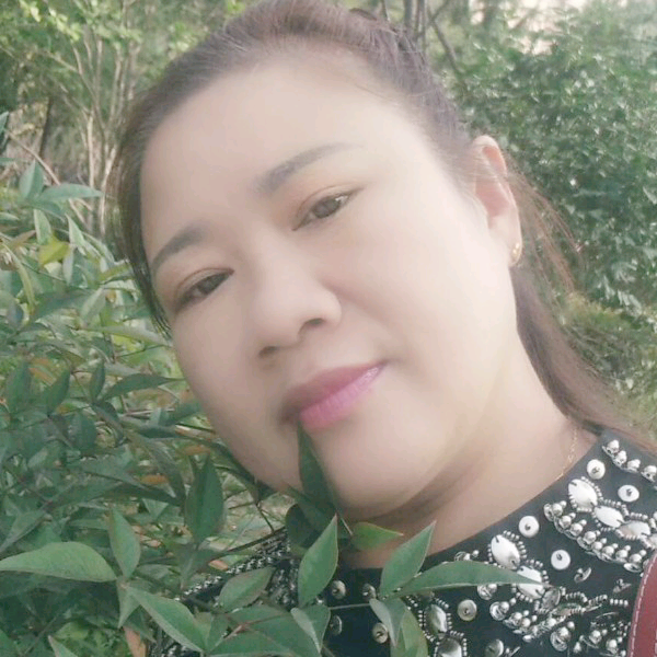 鱼停止失眠的照片