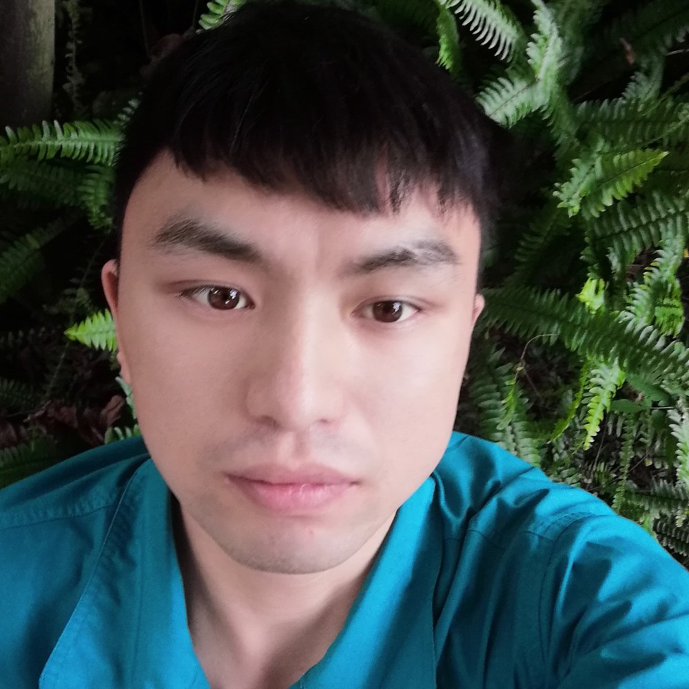 烂漫放弃老虎的照片