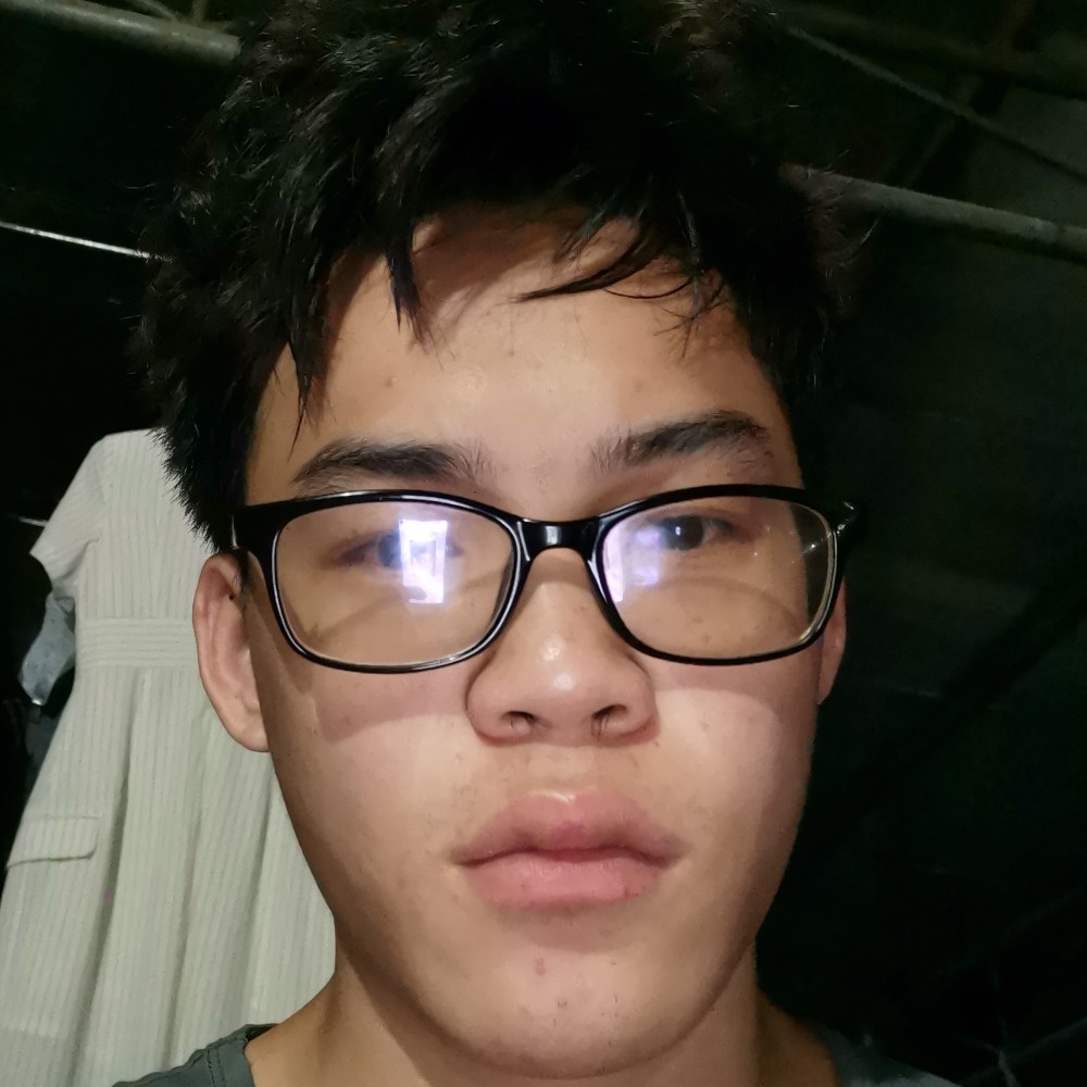 小刺猬漫步拼搏的照片