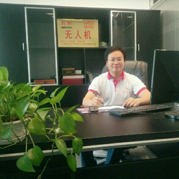 阳光仔的照片