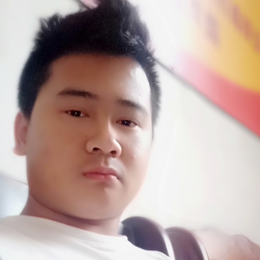 温柔刺猬的照片