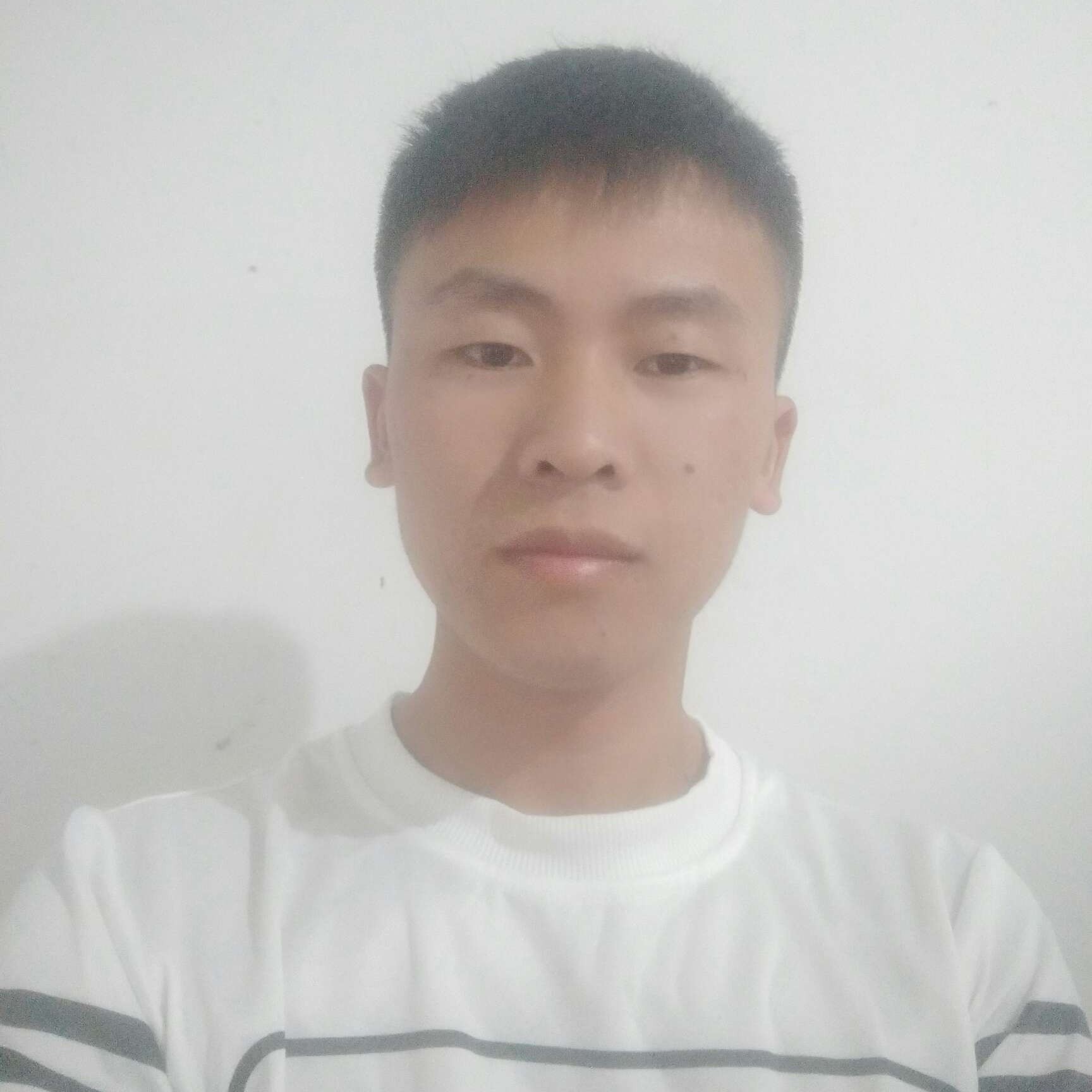 小猫咪绵密的照片