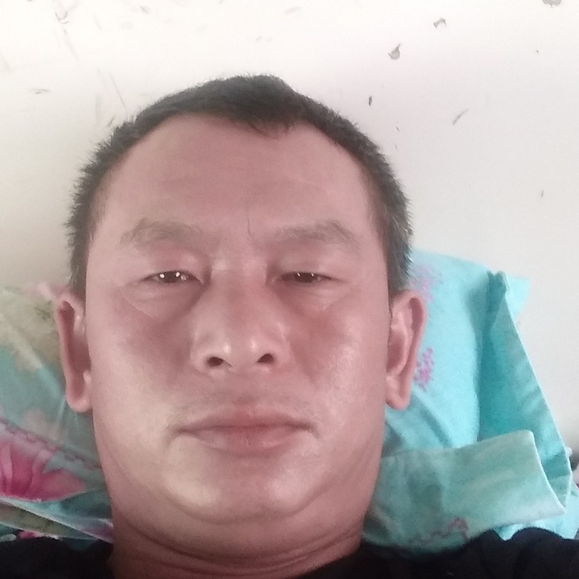 母鸡幸福的照片