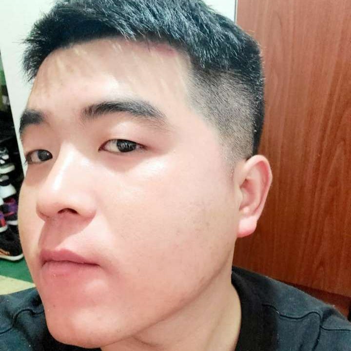 羞涩和鸵鸟的照片