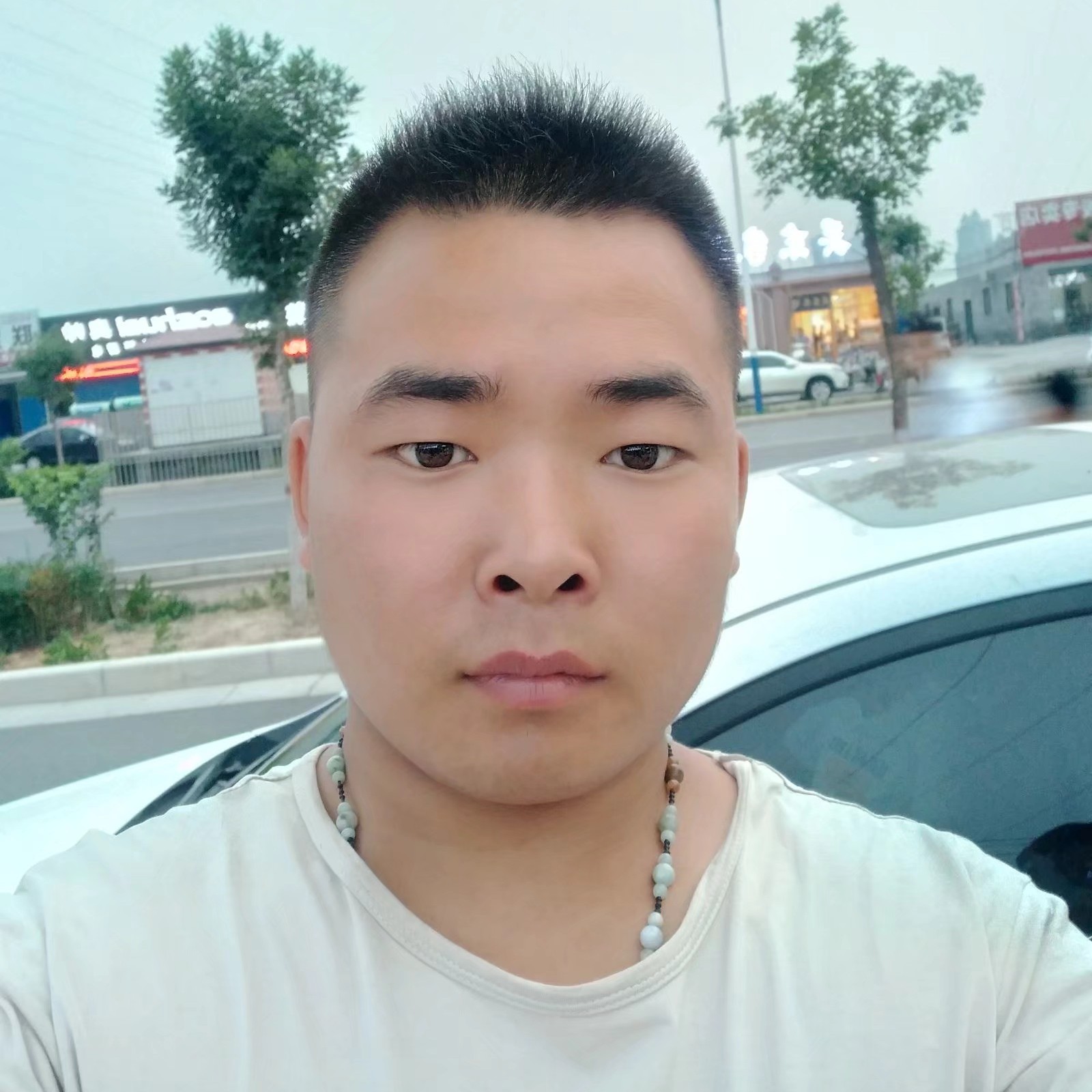 苹果爱樱桃的照片
