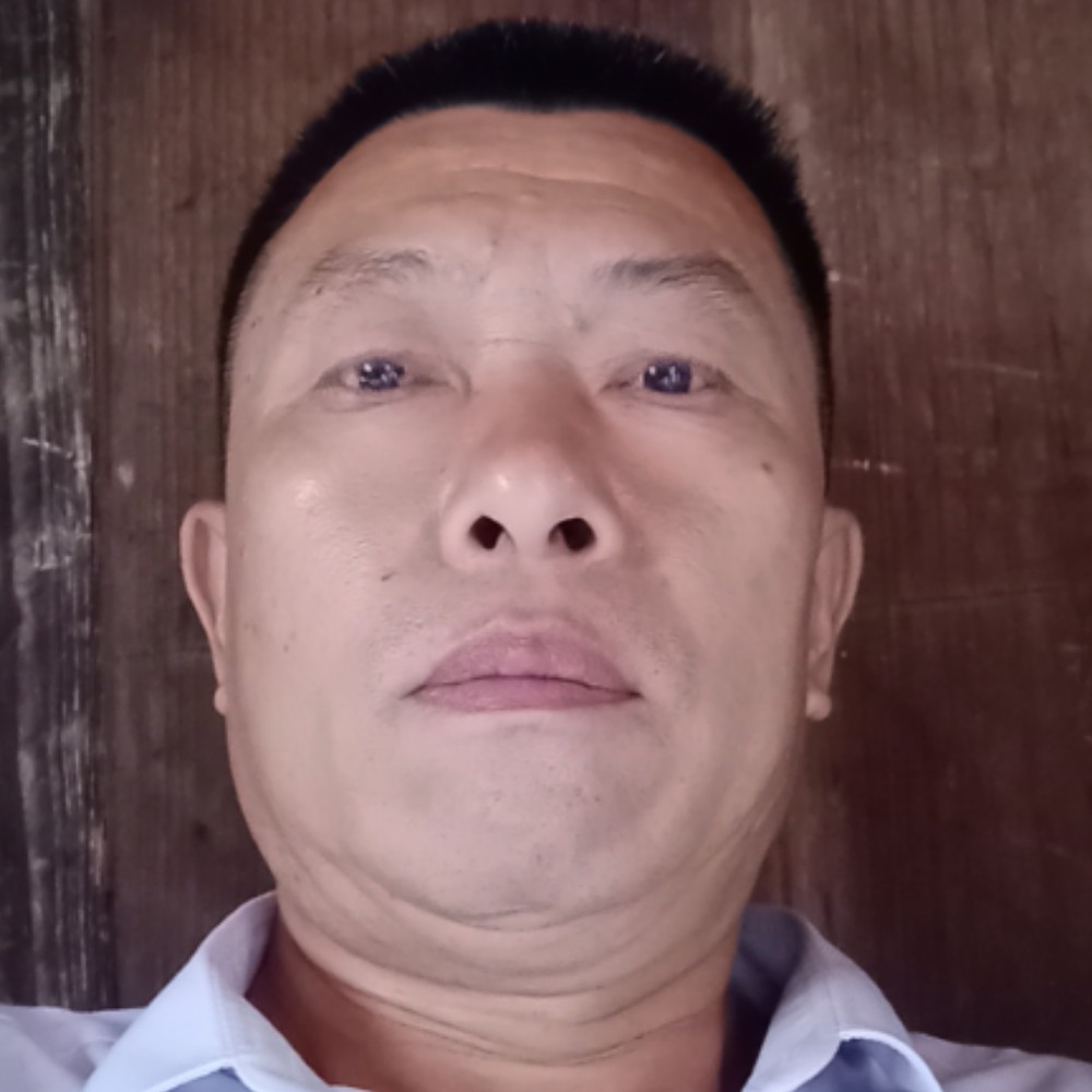 汉堡有零碎的照片