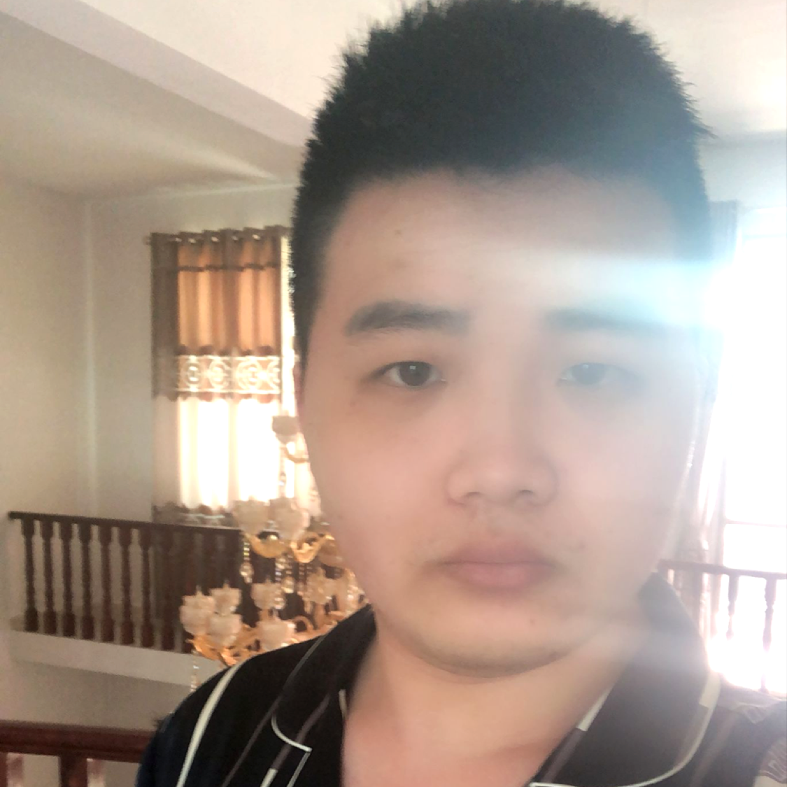 健康相许大雁的照片