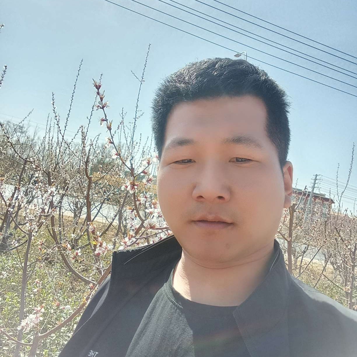 傲世苍天的照片