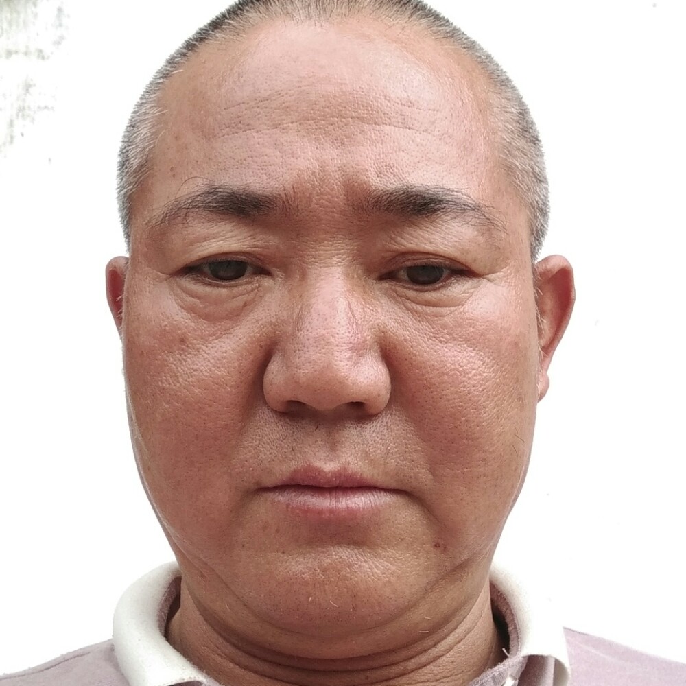羊迅速的照片