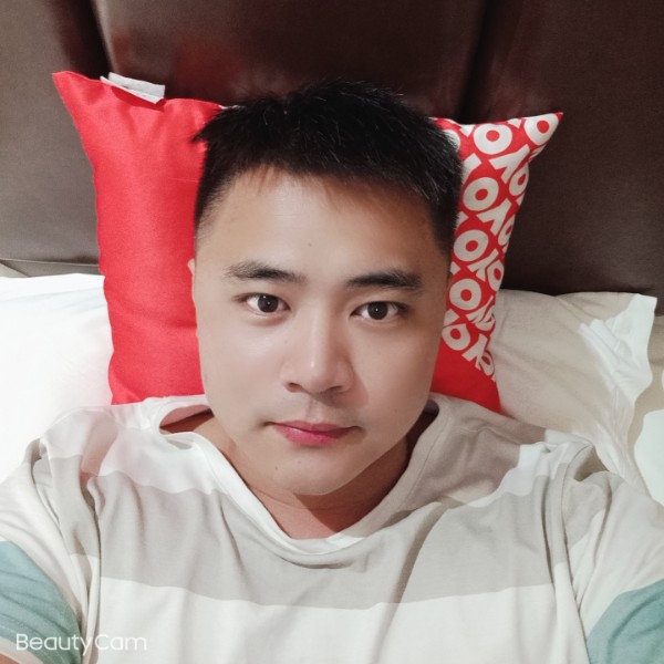 落叶的照片