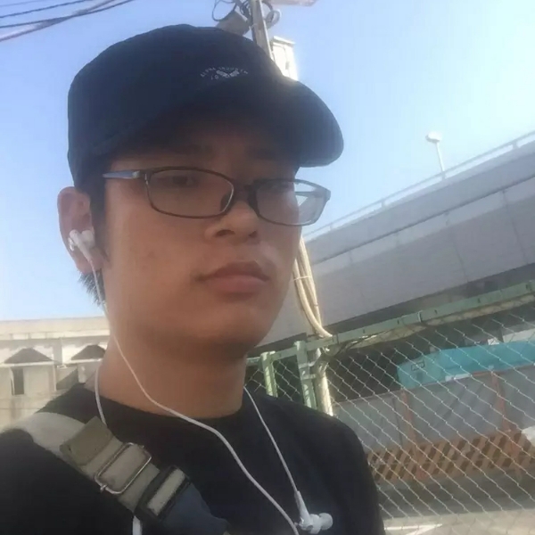 叶子弹头的照片