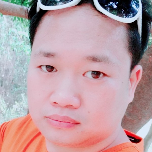 风中就鸵鸟的照片