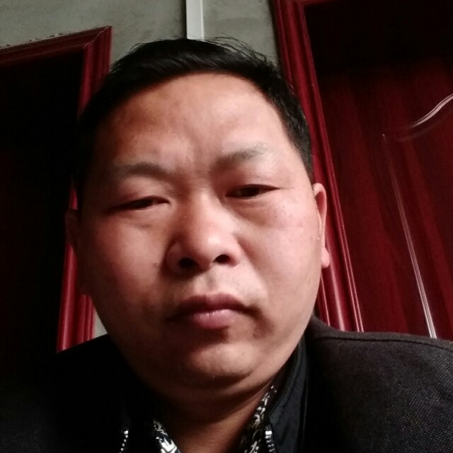 向日葵温暖的照片