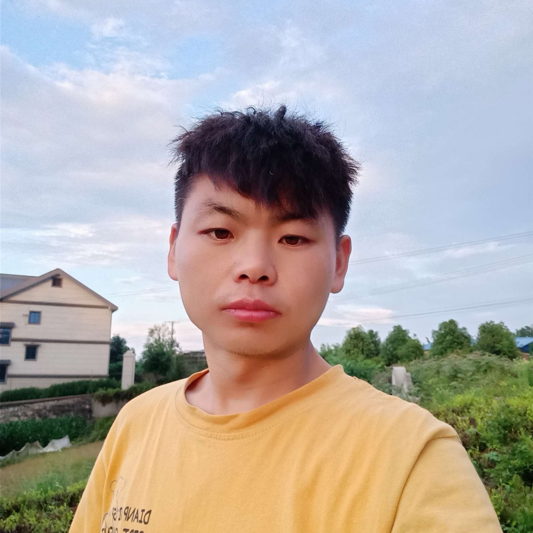 激动回眸刺猬的照片
