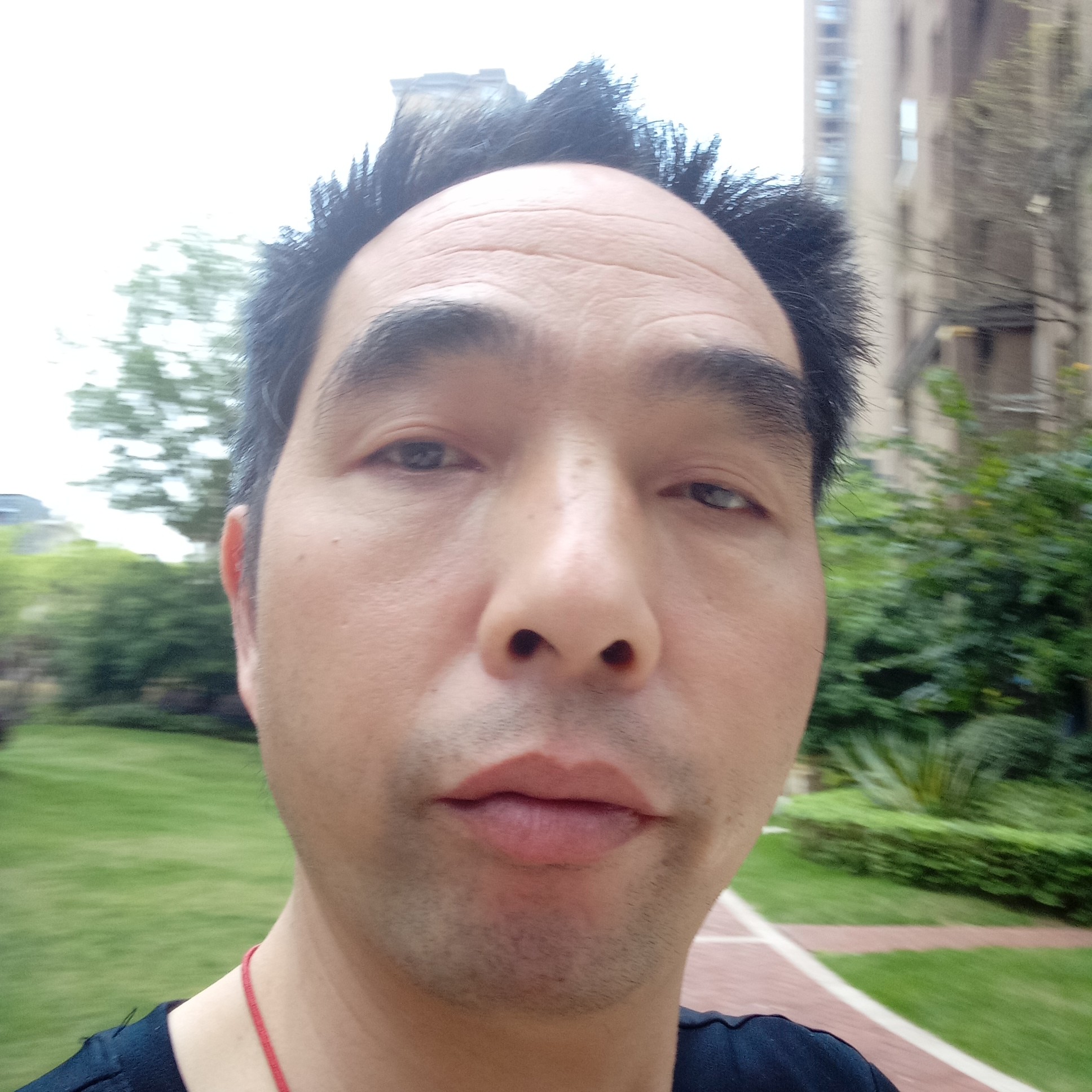 飘逸扯乐曲的照片
