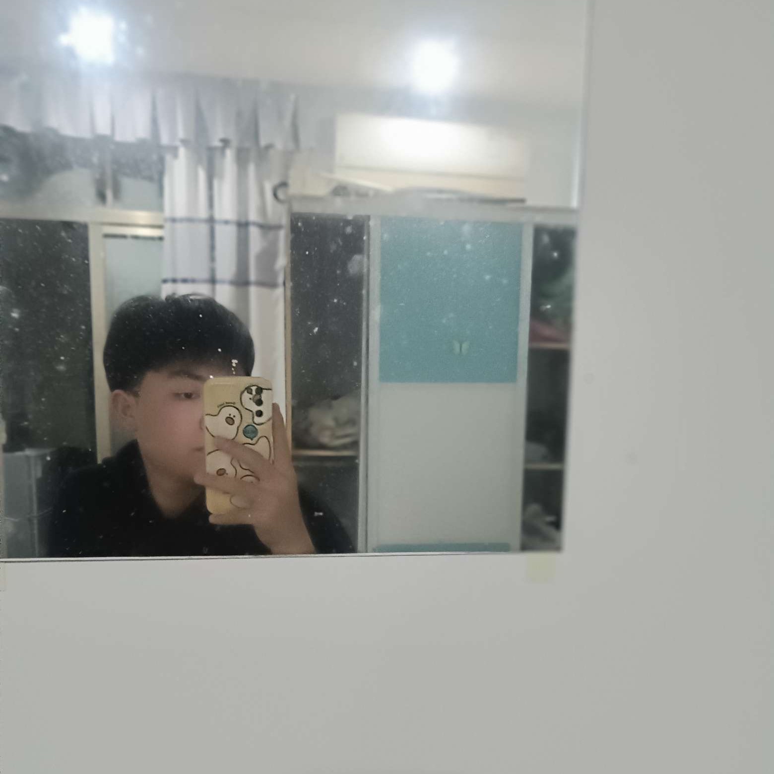 老鼠就能干的照片