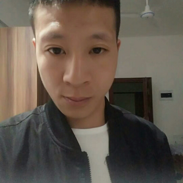 飞鸟俊逸的照片
