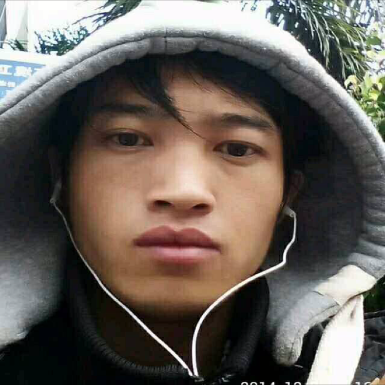 小蜜蜂的照片