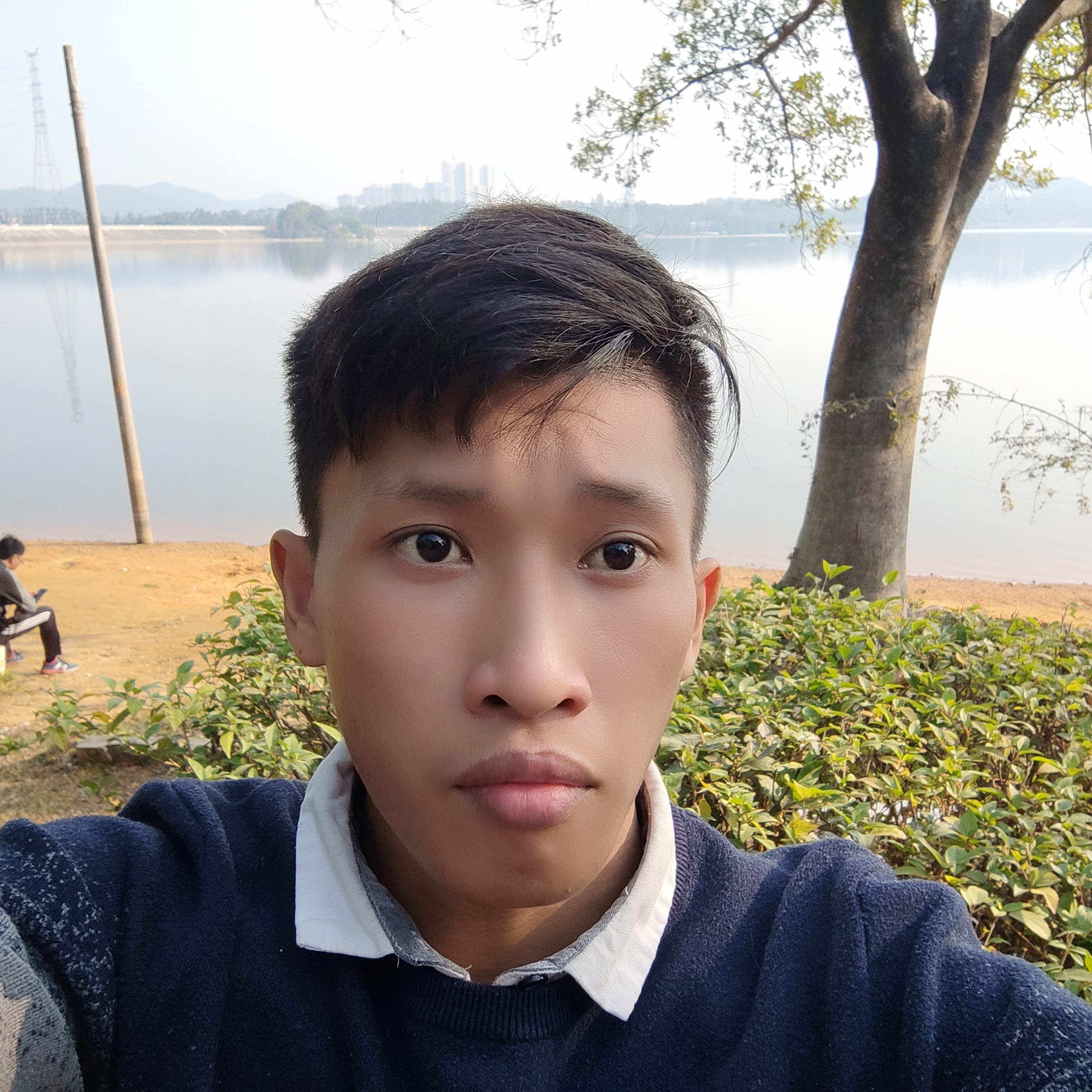 天麻的照片