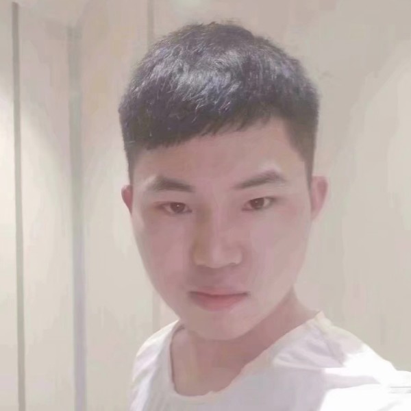 朴素小白菜的照片