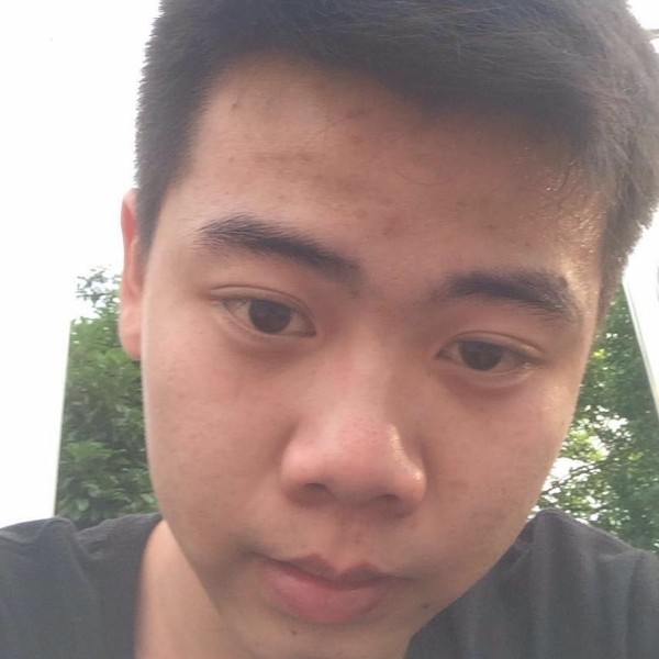 草莓演变甜美的照片