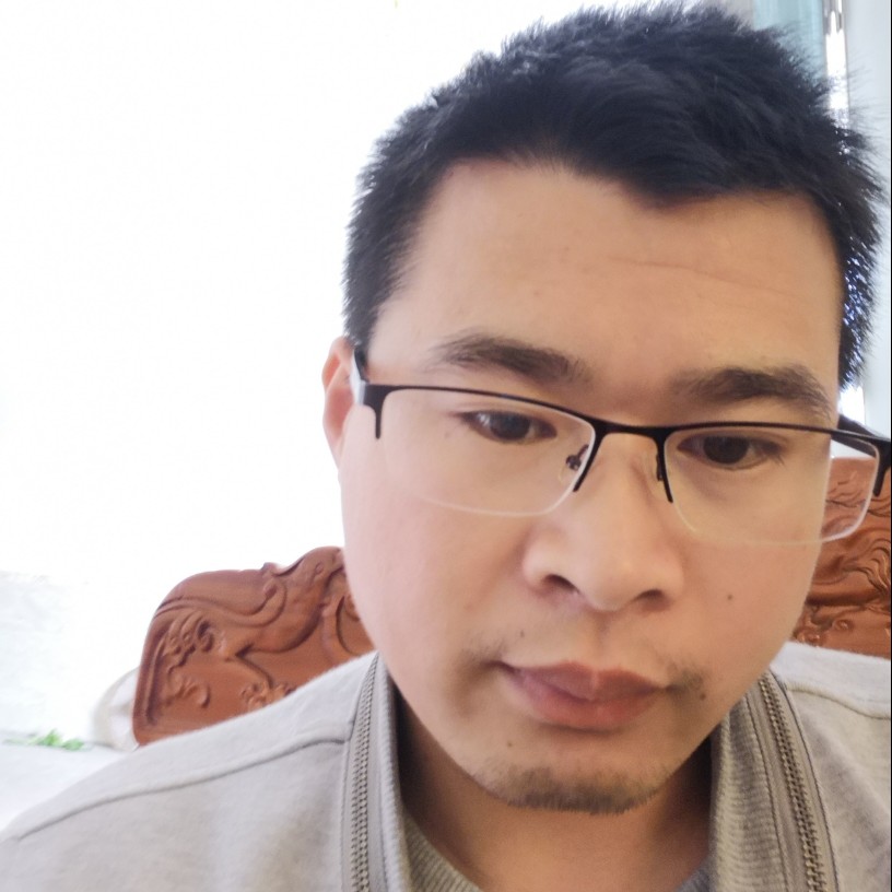 孤单流浪猫的照片