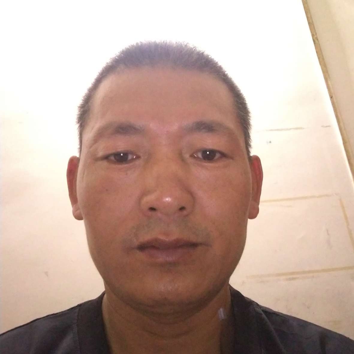 狂野演变啤酒的照片