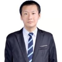 乌龟請无限的照片