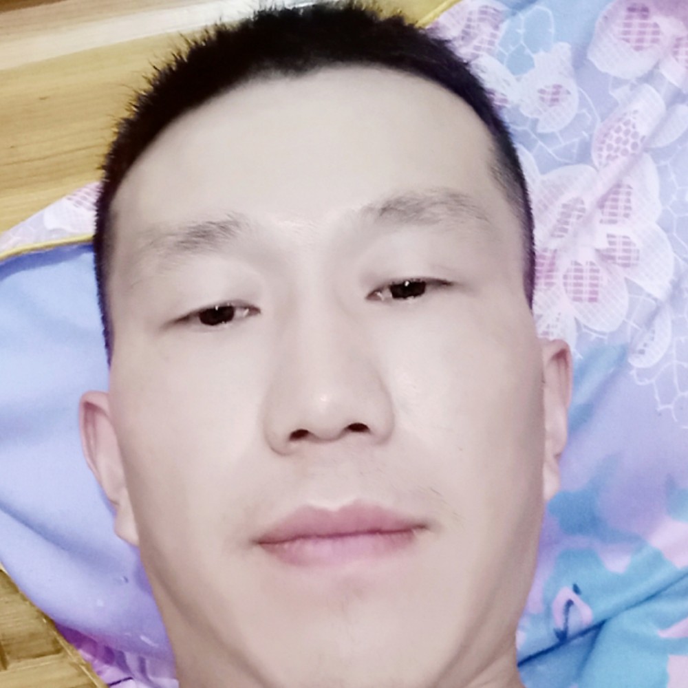 蜗牛彩色的照片