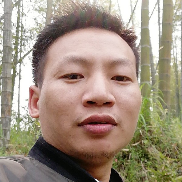 孤独便当的照片
