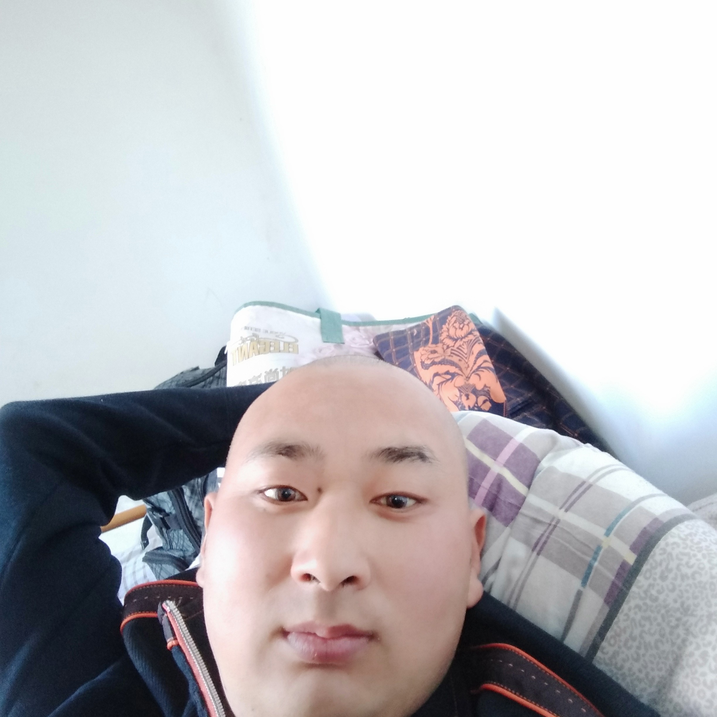 蜗牛绚烂的照片