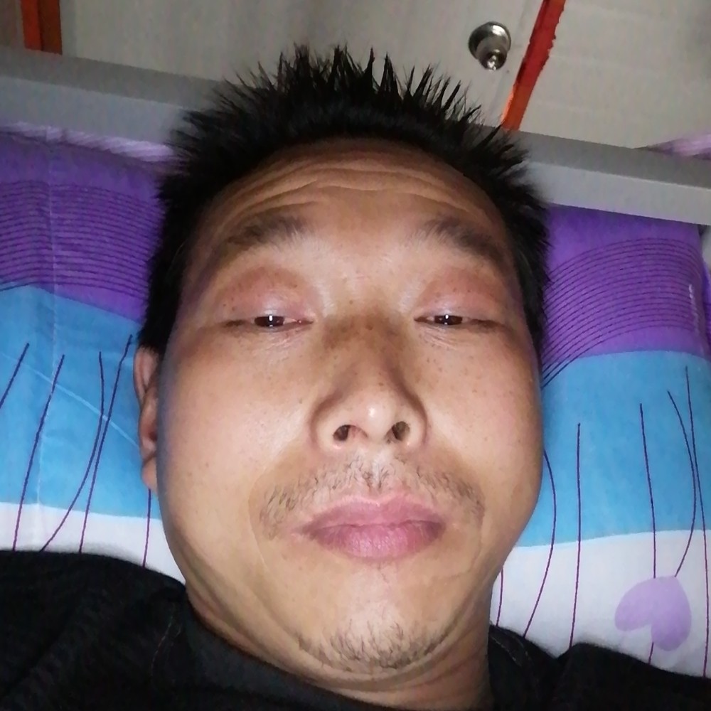苗条苦恋蚂蚁的照片