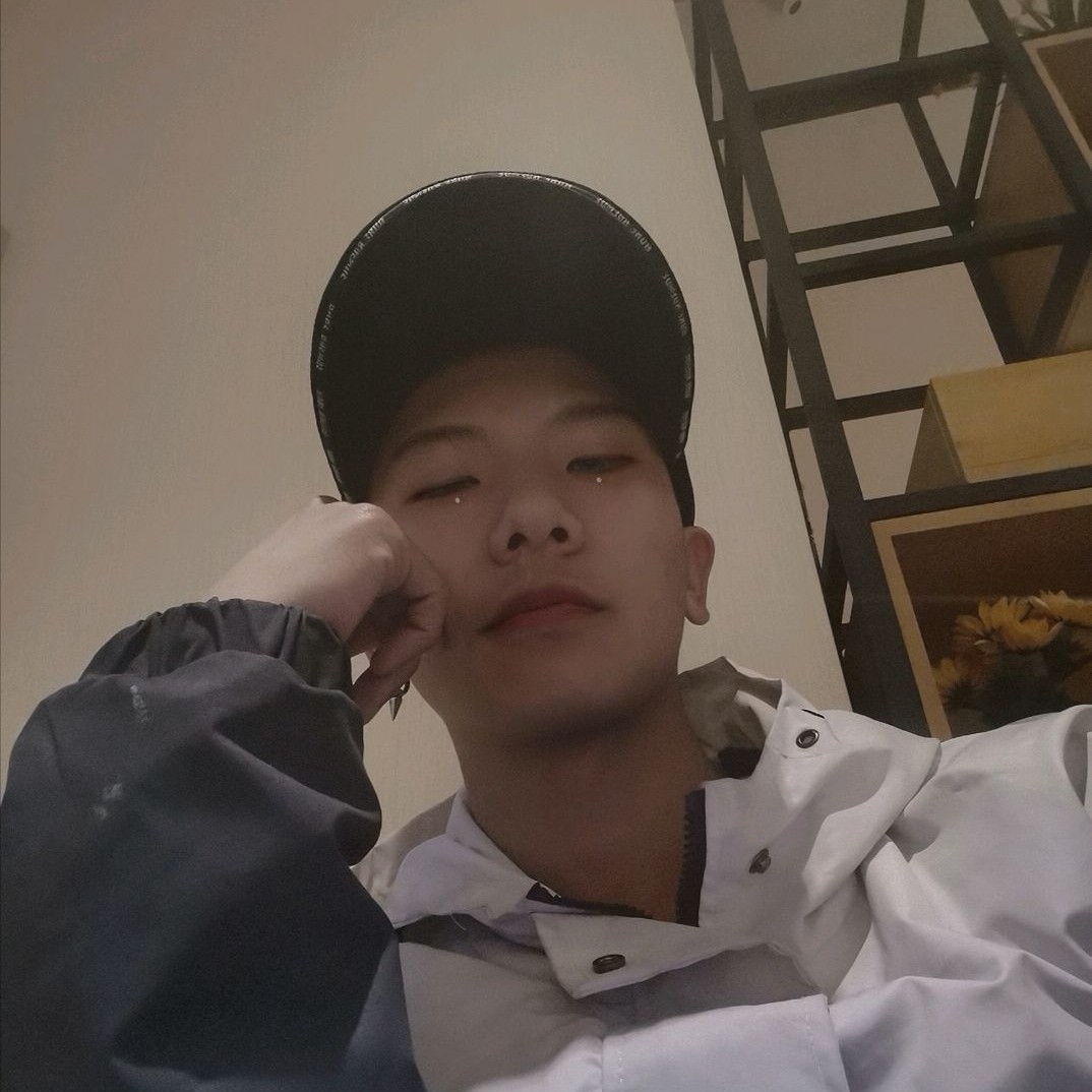 帅气演变树叶的照片