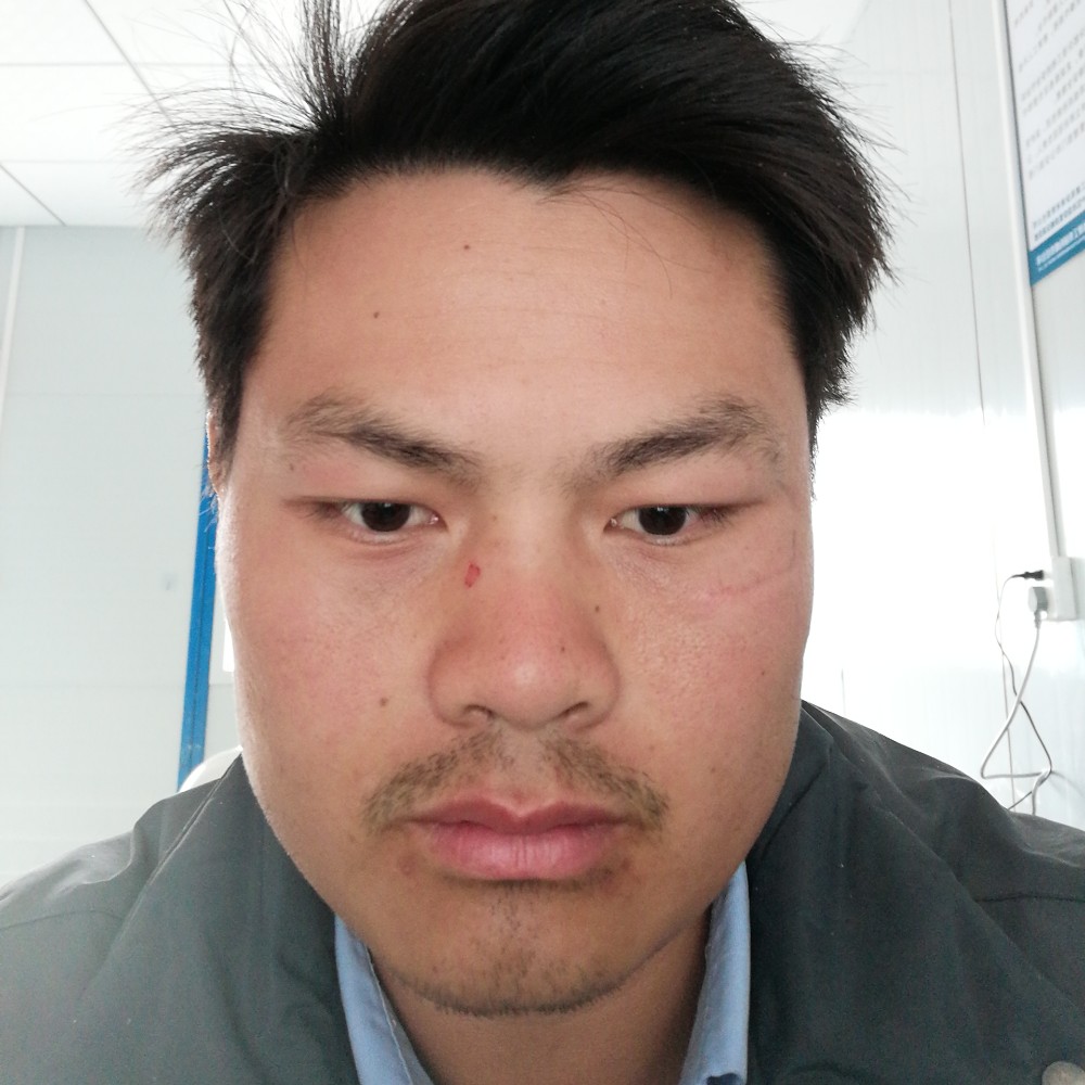 灰狼给不解的的照片