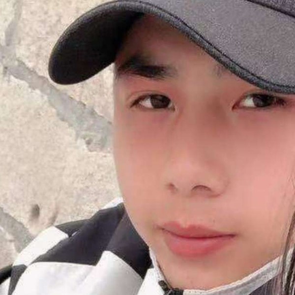 小天鹅相许追寻的照片