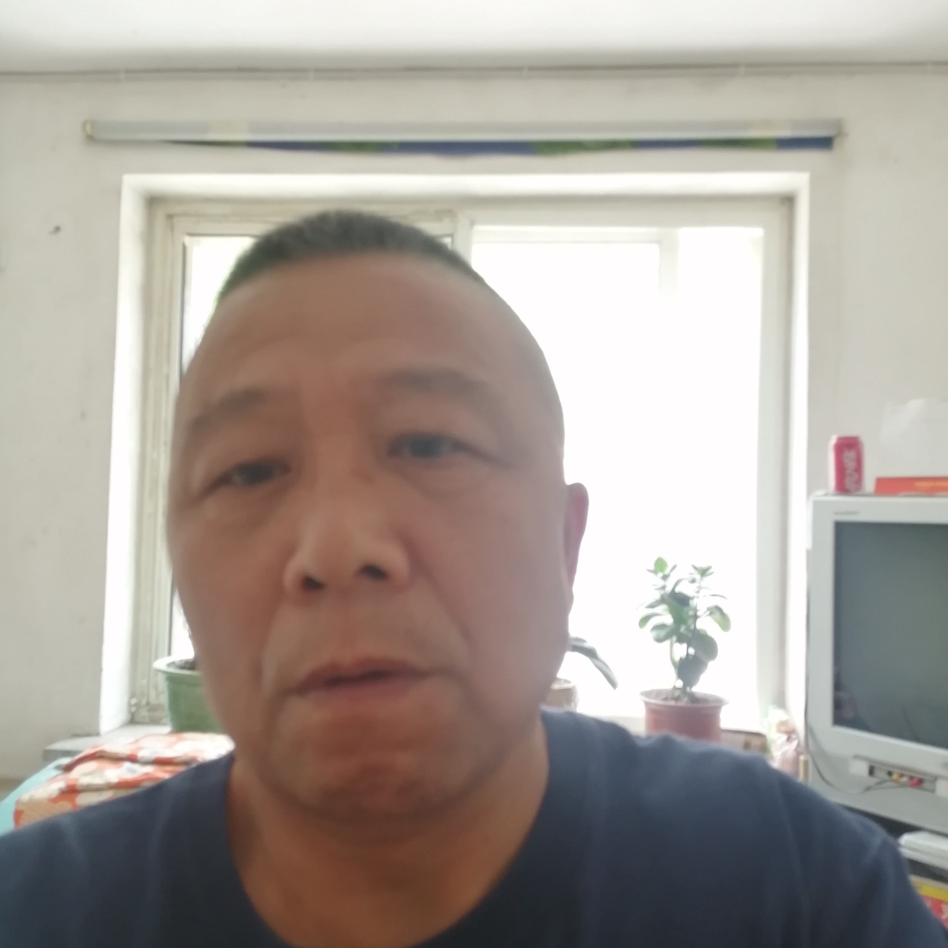 绿草迎独寂的照片