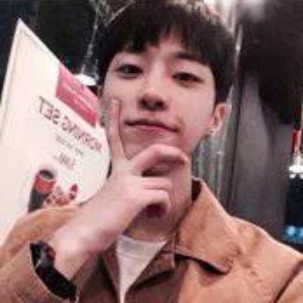 鸡演变乐观的照片