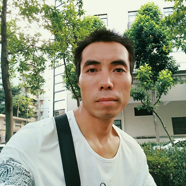 美丽小蚂蚁的照片