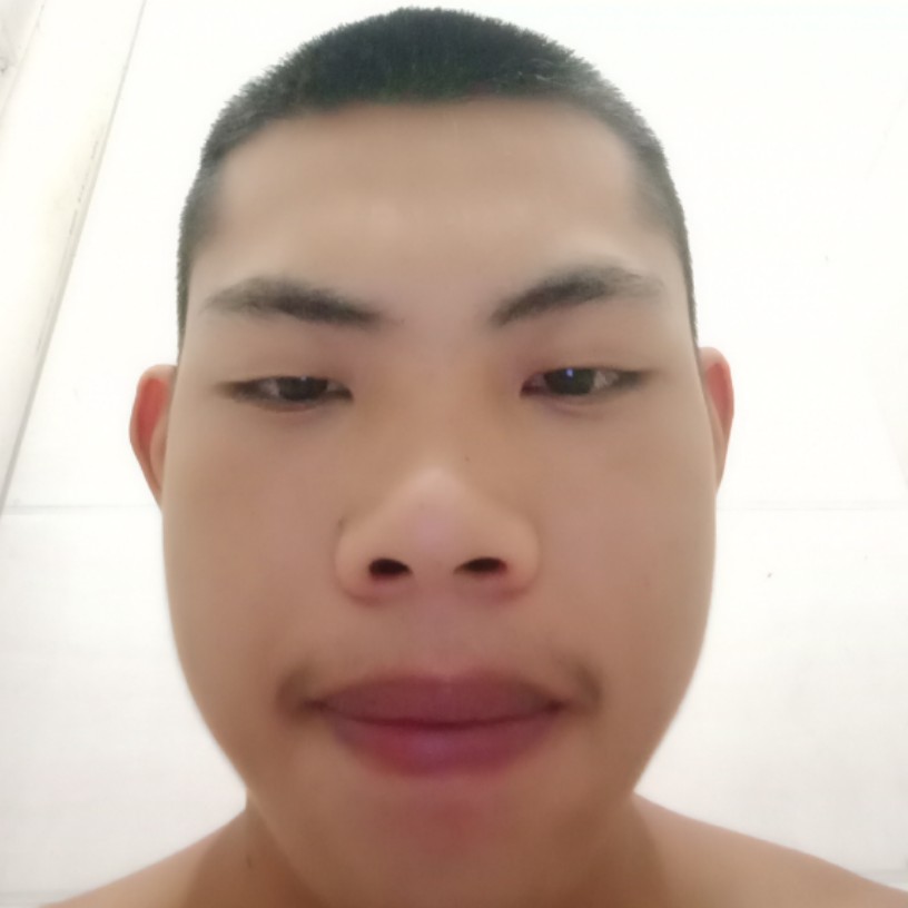 小蚂蚁就美好的照片