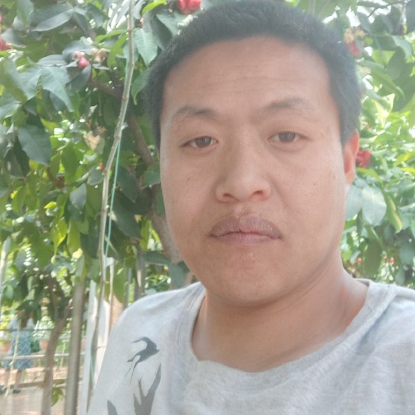 wangwei结的照片