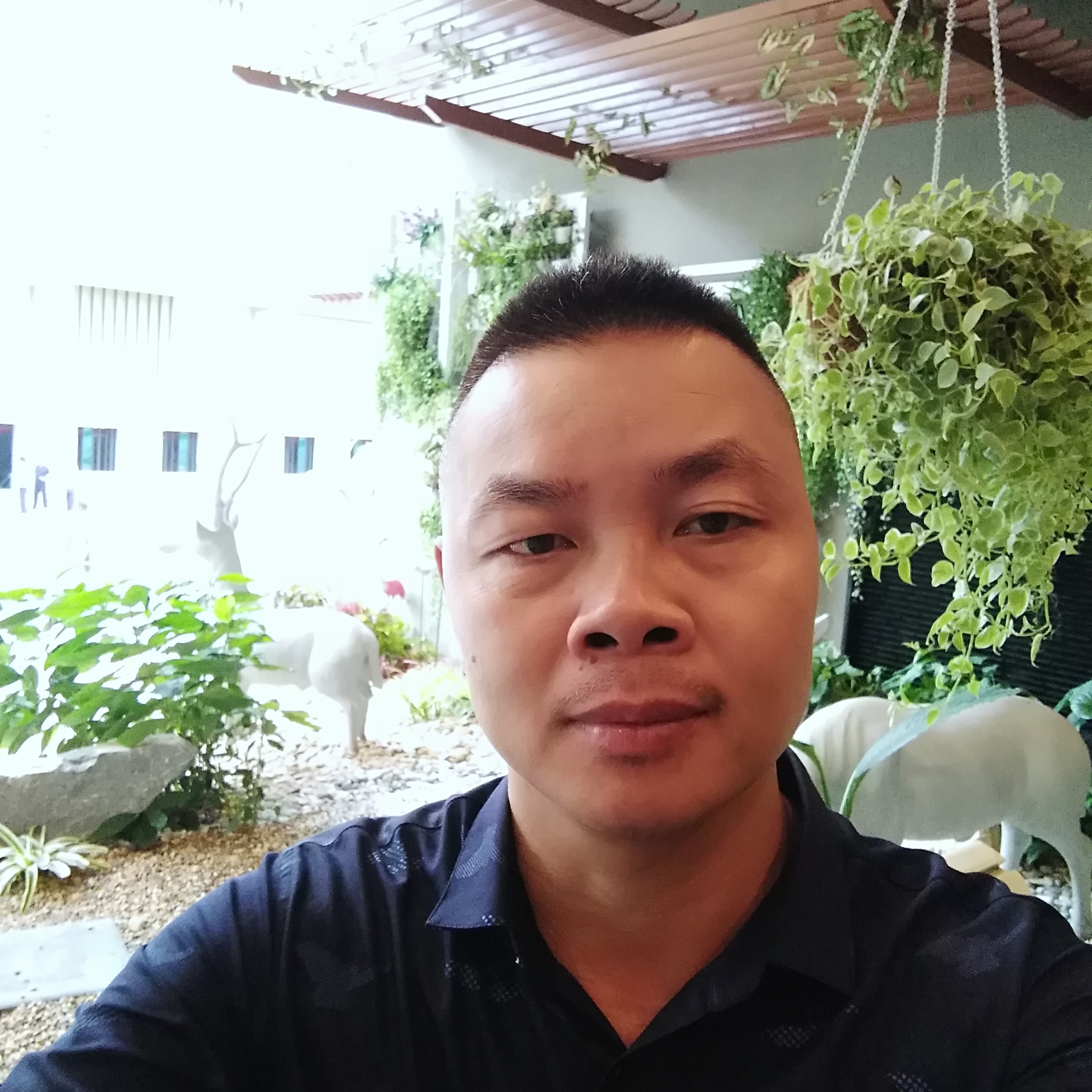 黄明仪的照片