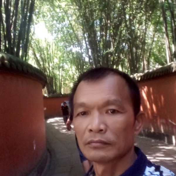 桑林的照片