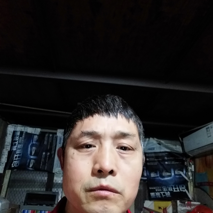逐风天真的照片