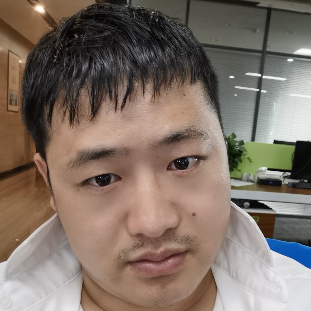 流星ZW的照片
