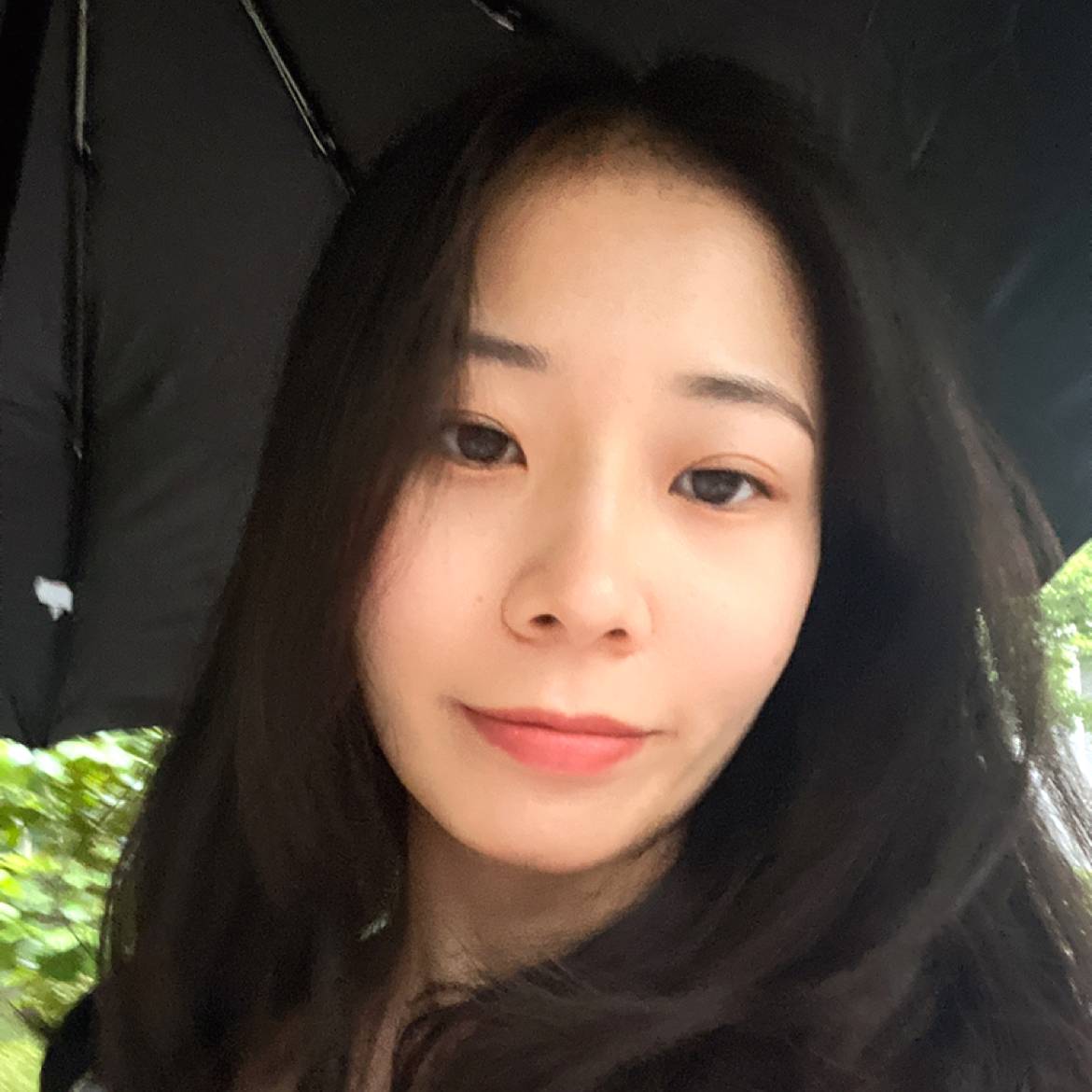 蚂蚁泪了典雅的照片