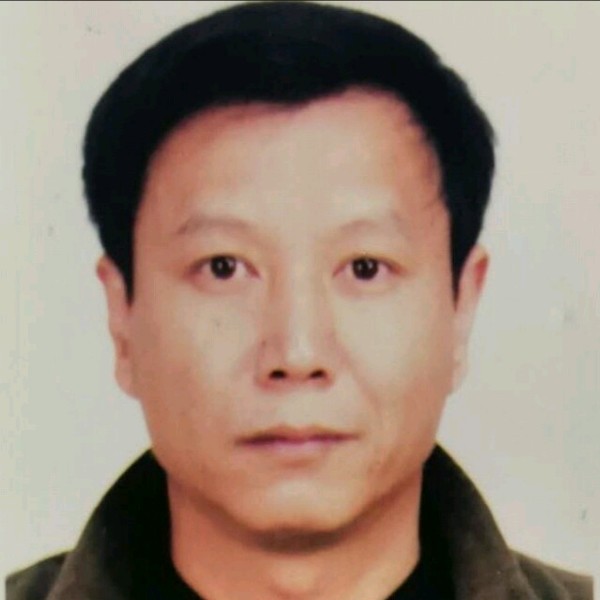 年轮的痕迹的照片