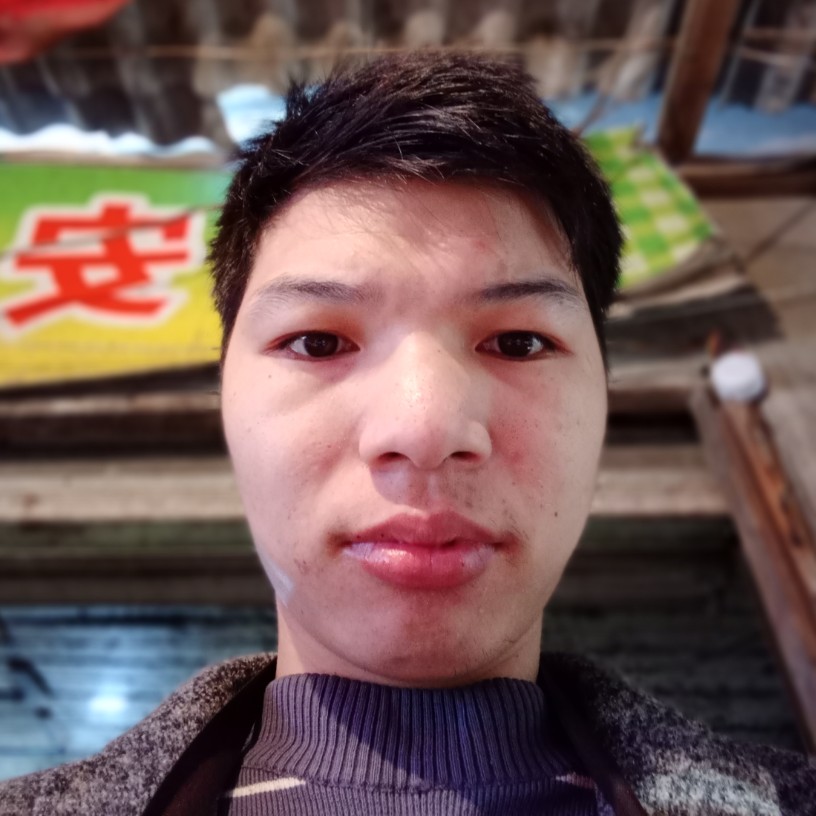 猫咪用懦弱的照片