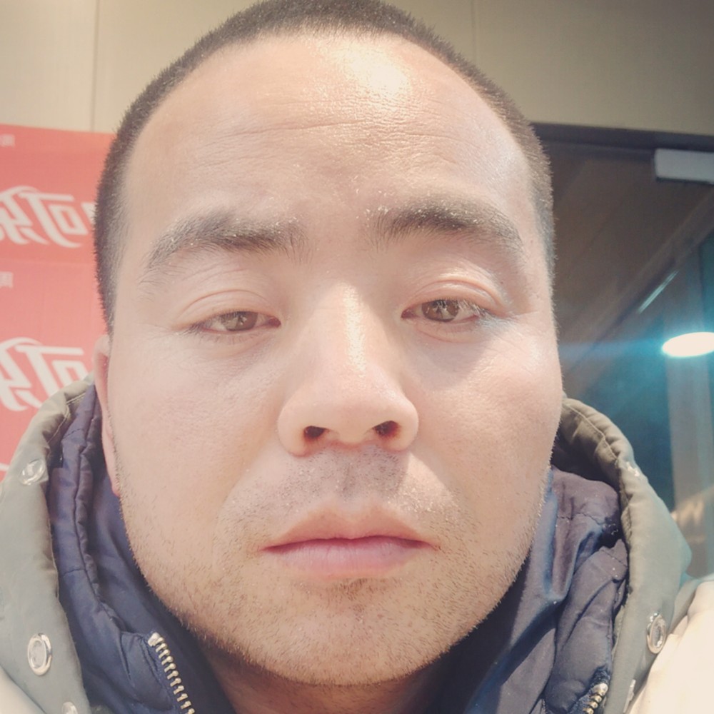 蜜蜂害怕的照片